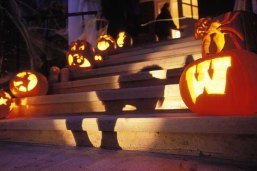 pumpkins