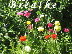Breathe