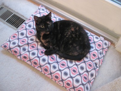 cat_bed