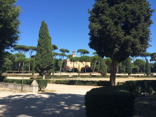 Borghese Gardens, complete with umbrella pines, which to me are oh, so Italian.