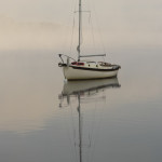 On being as dumb as Peter, where I’m at today…