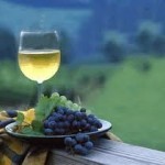 Wine and Trials, a guest post from Vivian Mabuni