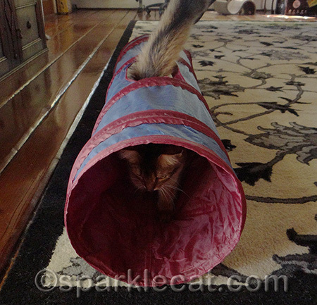 It makes fun crinkly noises and everything
