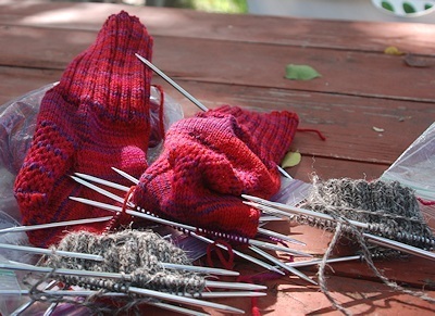 Mountain-colors-Indian-paintbrush-Herdwick070