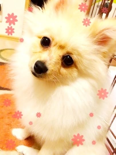 {DD93E848-7361-4706-A6B2-77F0280923E4:01}