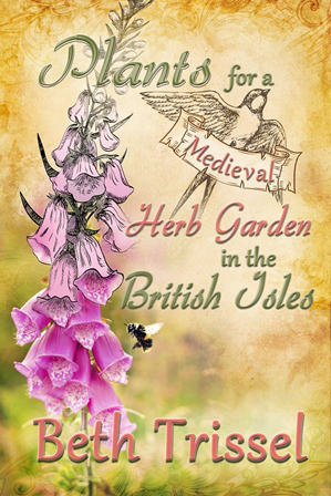 medieval herb garden smaller size