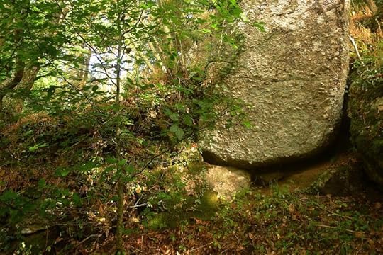 Fairy dwelling