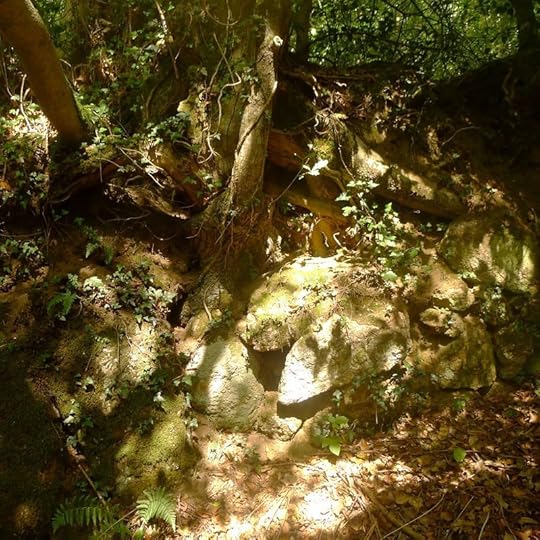 Light & shadow