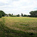 Blackheath Park - the mystery field (2)