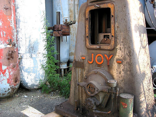 joy!
