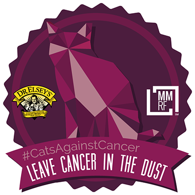 Precious_Cat_cats_against_cancer