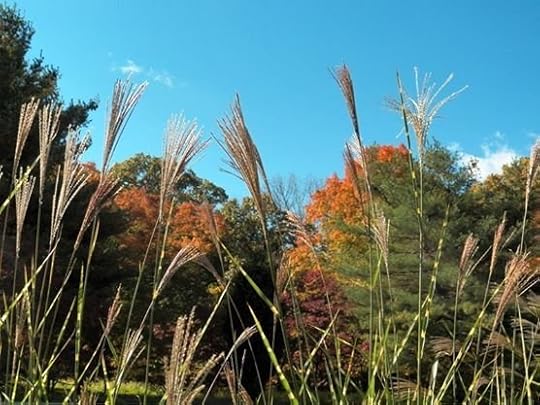 autumn