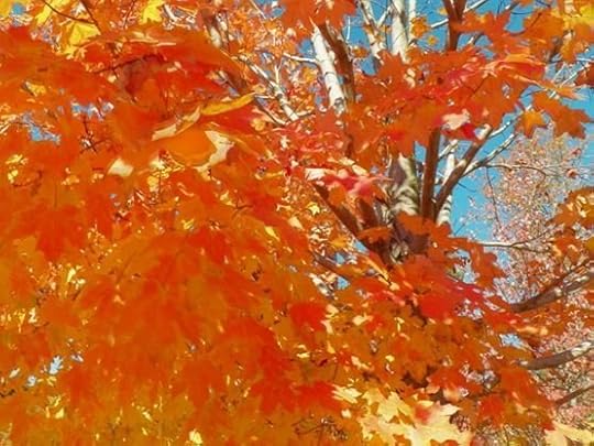 autumn2