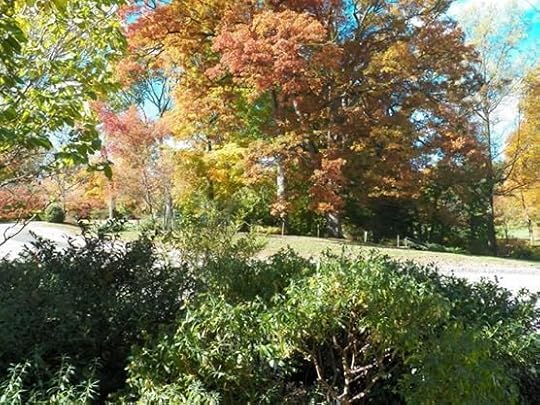 autumn4