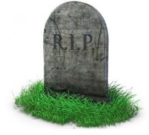 images courtesy of google images