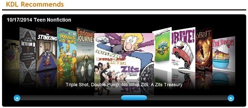 KDL Top Ten Teen Nonfiction 10-16-2014