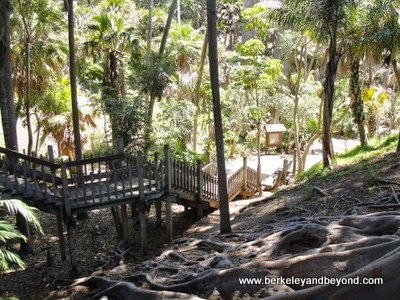 Palm Canyon in Balboa Park in San Diego, California
