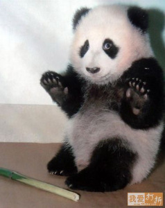 Don't shoot me, I'm fine now!