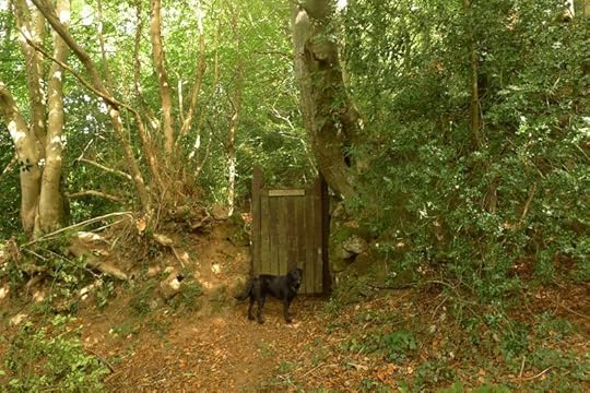 Woodland gate