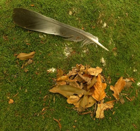 Feather & Leaf