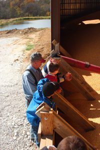 Blog 2-Grain