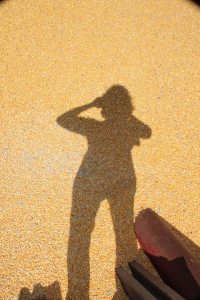 Blog 4-shadow