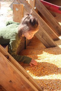Blog 5-Julianna