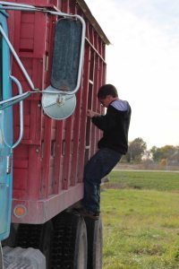 Blog 7-Alex