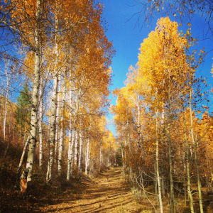 October is the height of creation. 