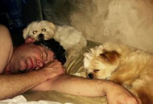 When you lie down with dogs...