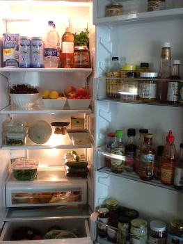 My Fridge is in Rehab for Attempted Murder (Click picture to see post)