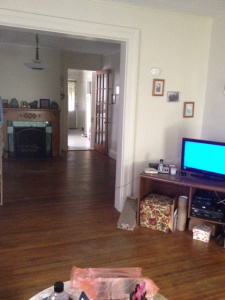 Random apartment photos! Ignore the cat-hairy floor. LOOK AT ALL THE ROOM I HAVE!