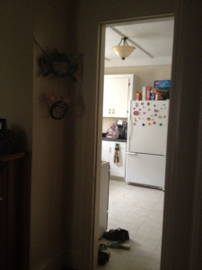 Kitchen! Frog-thing hanging on the wall! SO MUCH SPACE OMG!