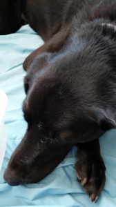 Screen Shot 2014-10-19 at 11.01.55 PM