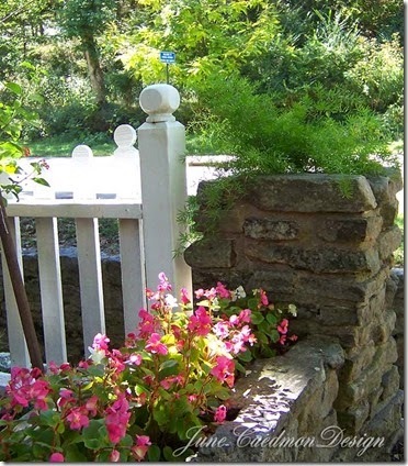 Flowers_rock