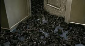 mice