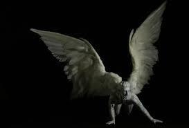  photo winged1_zpsd52d3415.jpg