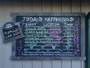 There's something for all ages. Photo - Laurel Stewart