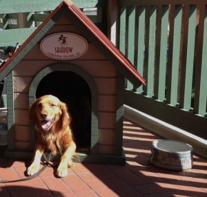 Shadow outside the Live Oak Lodge. Photo - Len Testa