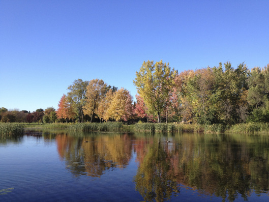 Montreal Botanical Garden