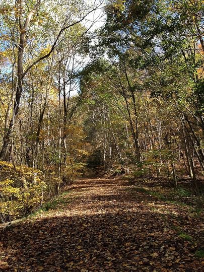 Crunchy on the Jackson River Scenic Trail