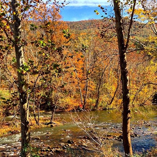Jackson River #latergram #fall