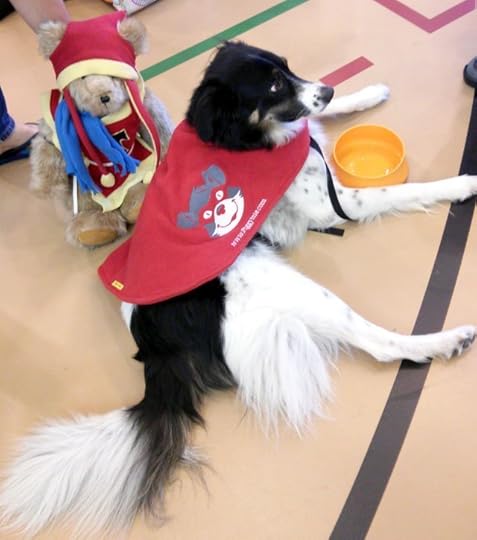 Tristan the Teddy Bear meets Piggy the Three Legged Super-Dog