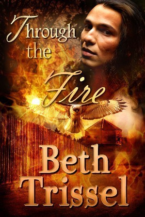 Award-winning historical romance novel