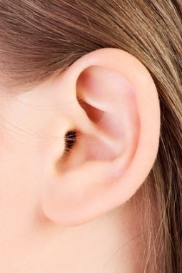 Ear