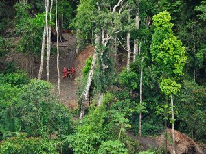 uncontacted-tribes-new-pictures-group_31964_600x450
