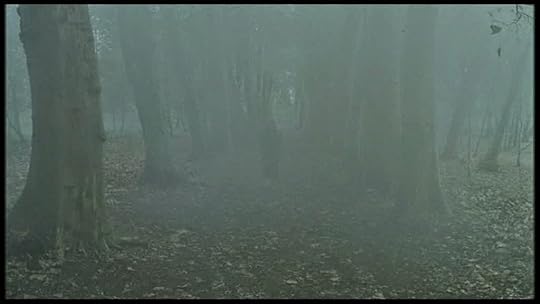 Foggy woods in The Others
