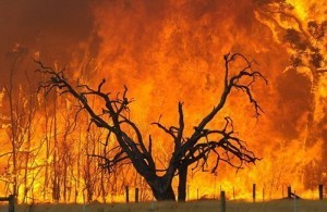 australia-wildfire-1