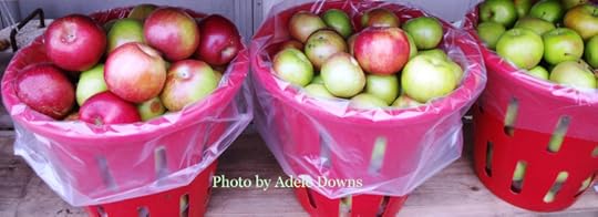 HO_AppleBaskets