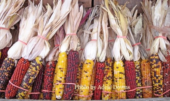 HO_IndianCorn